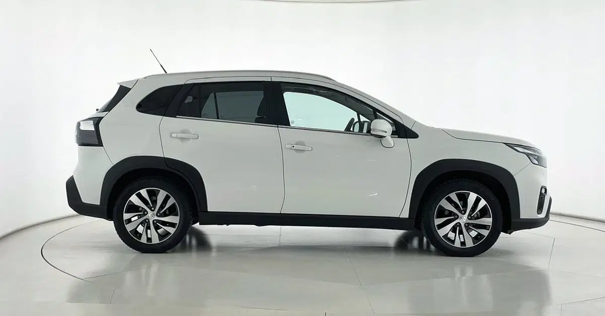 Suzuki S-Cross usata a Perugia (4)