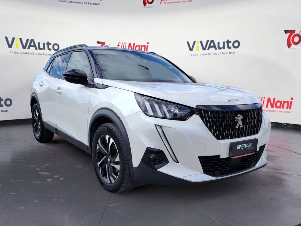 Peugeot 2008 usata a Massa-Carrara (16)