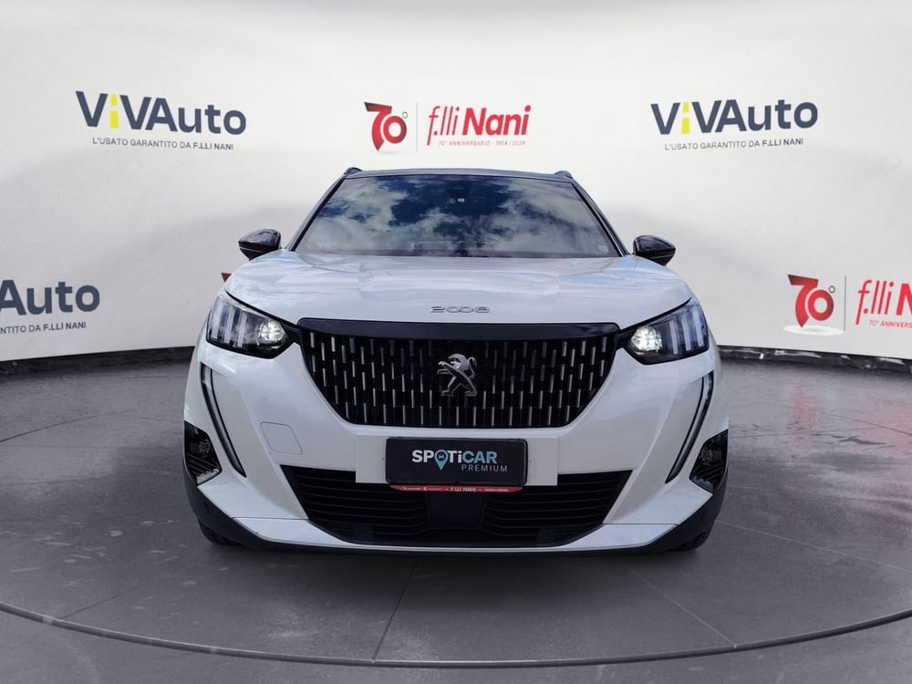 Peugeot 2008 usata a Massa-Carrara (3)