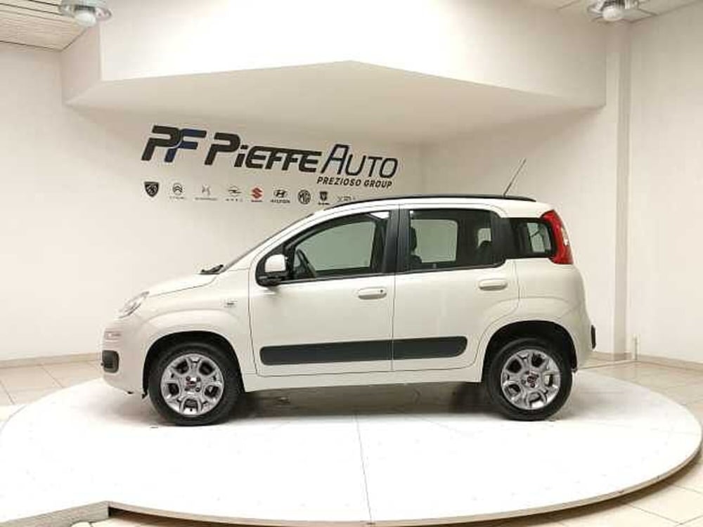 Fiat Panda usata a Teramo (2)