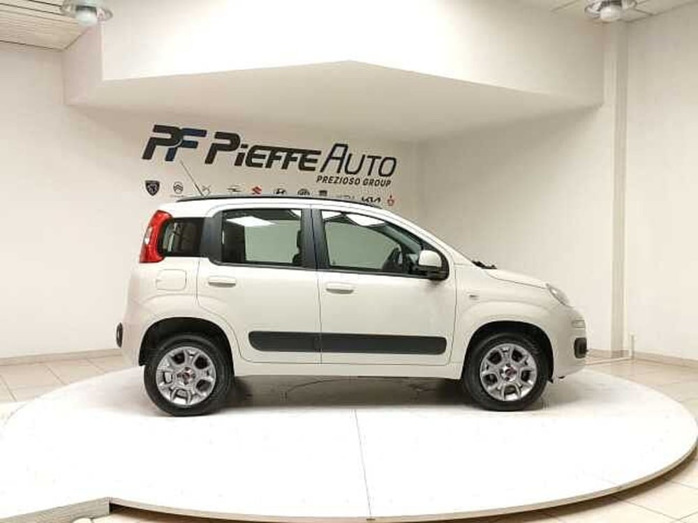 Fiat Panda usata a Teramo (5)