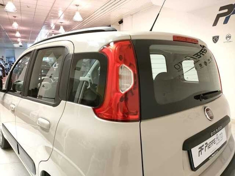 Fiat Panda usata a Teramo (9)