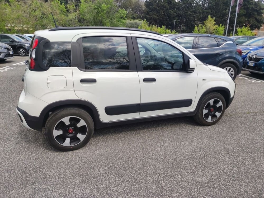 Fiat Panda Cross usata a Latina (6)