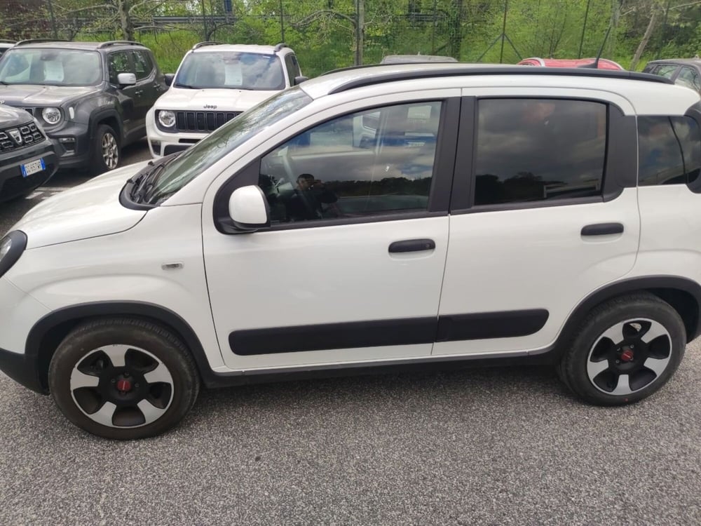 Fiat Panda Cross usata a Latina (8)