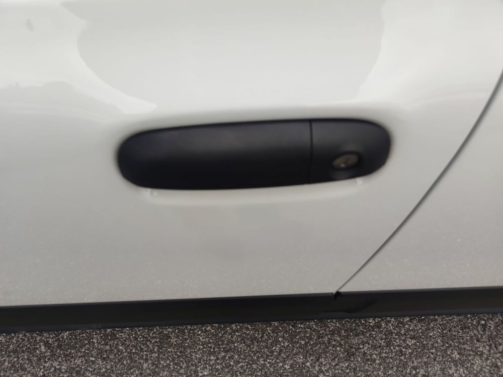 Fiat Panda Cross usata a Latina (9)