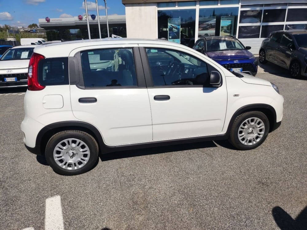 Fiat Panda nuova a Roma (6)