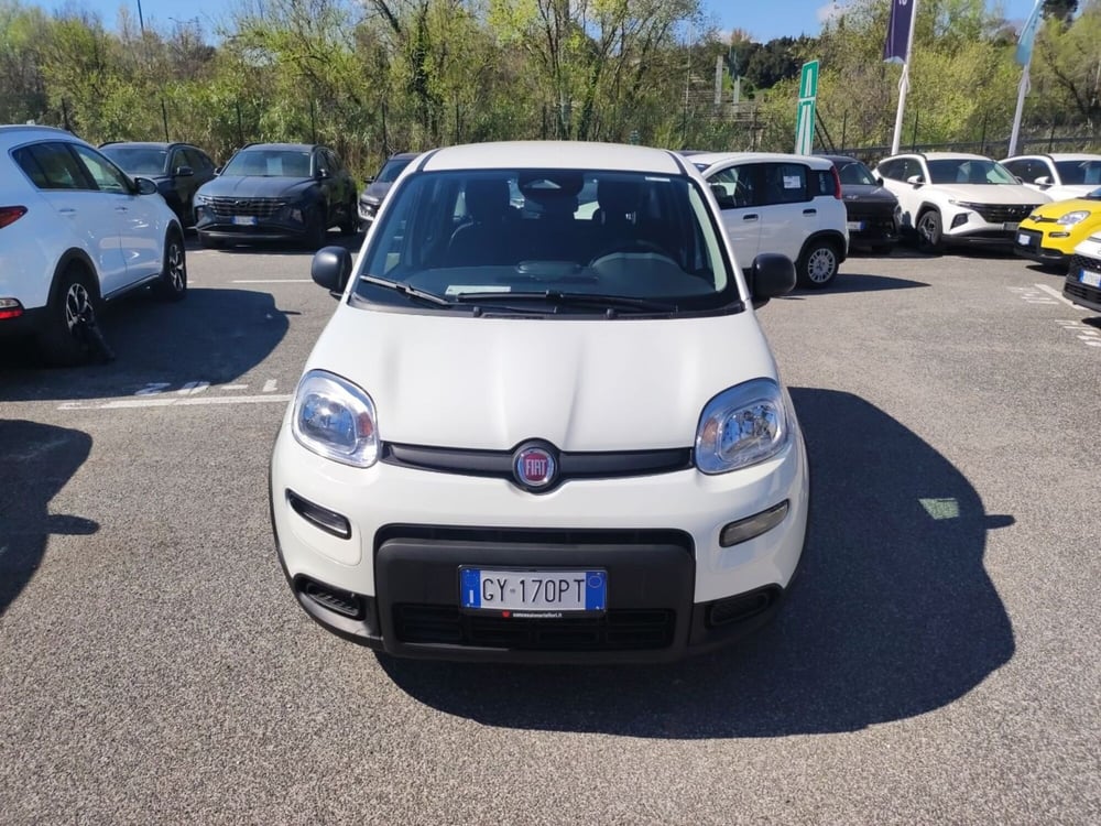 Fiat Panda nuova a Roma (7)