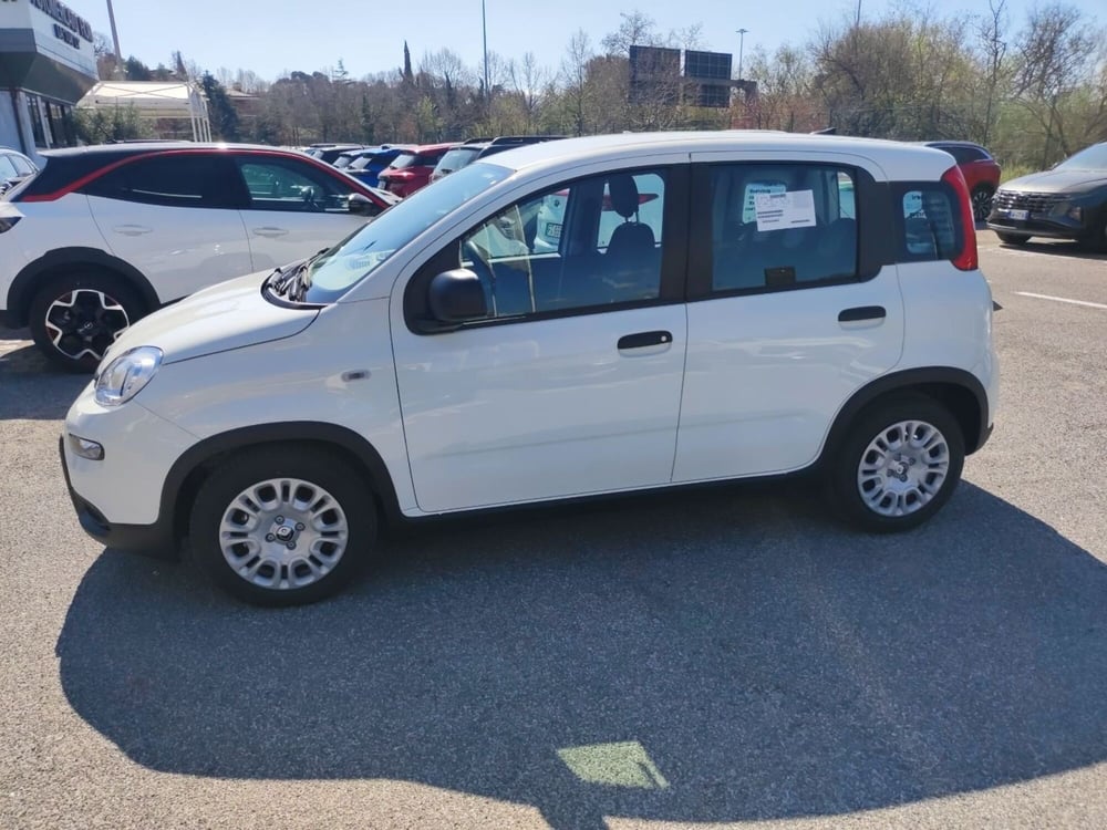 Fiat Panda nuova a Roma (8)