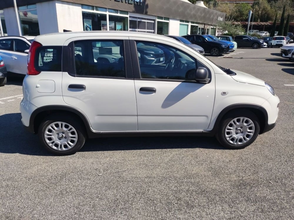 Fiat Panda nuova a Roma (6)
