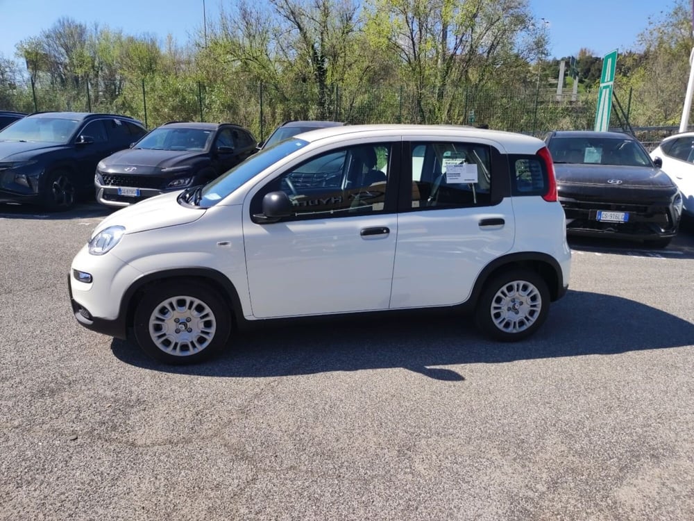 Fiat Panda nuova a Roma (8)