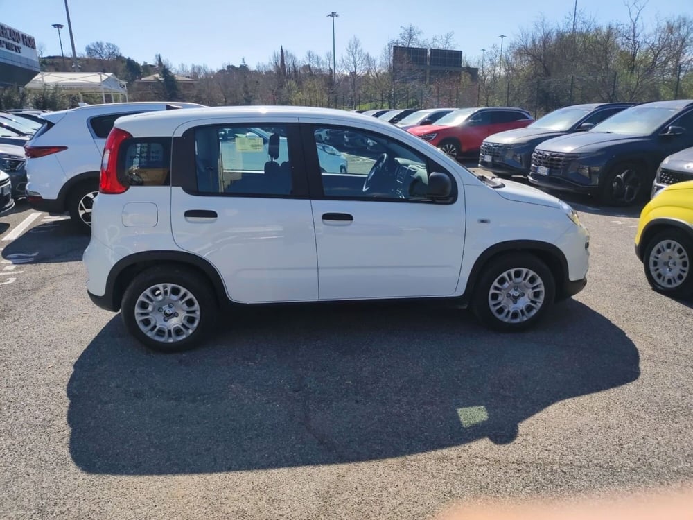 Fiat Panda nuova a Roma (6)