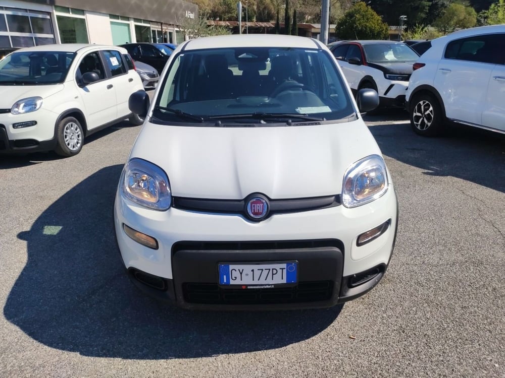Fiat Panda nuova a Roma (7)
