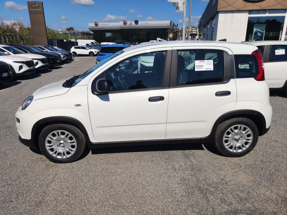 Fiat Panda nuova a Roma (8)