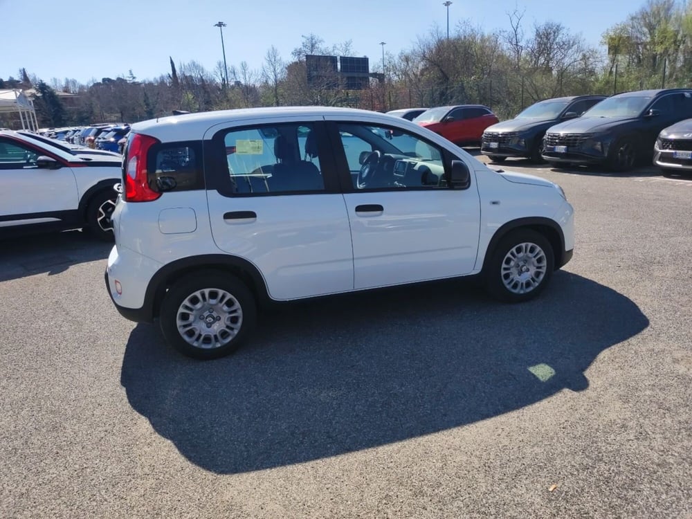 Fiat Panda nuova a Roma (6)