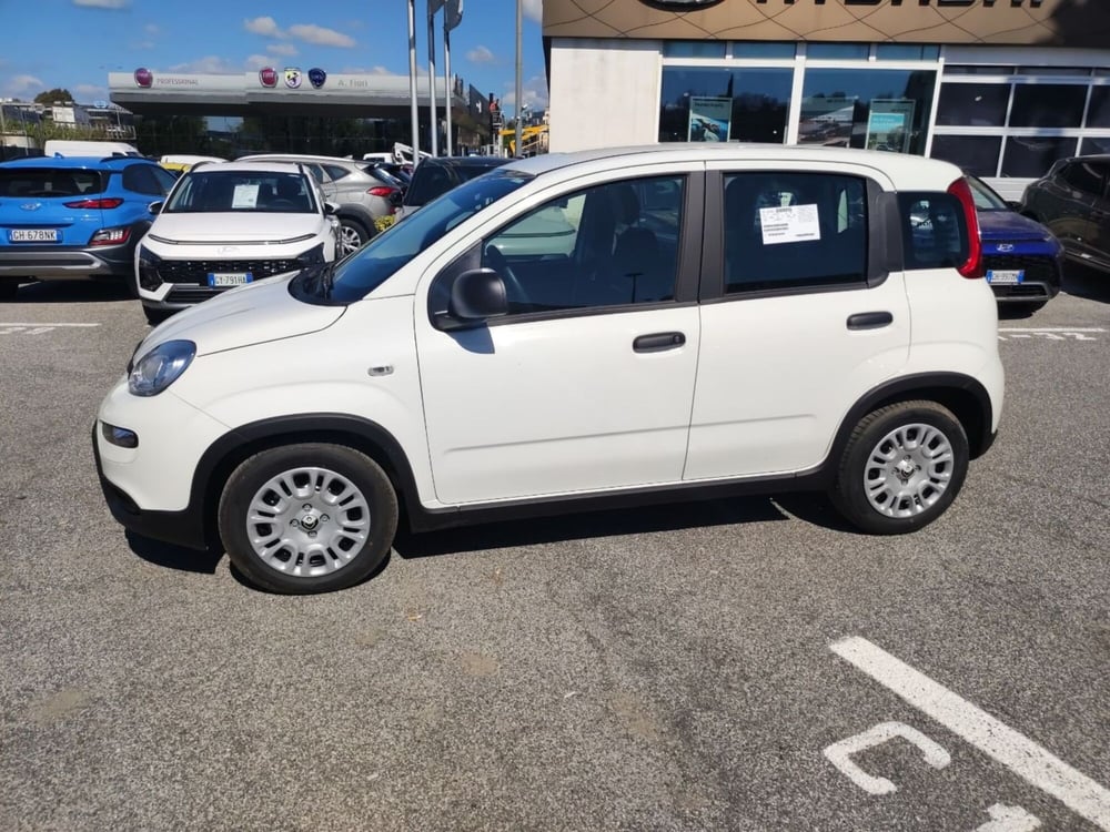 Fiat Panda nuova a Roma (8)