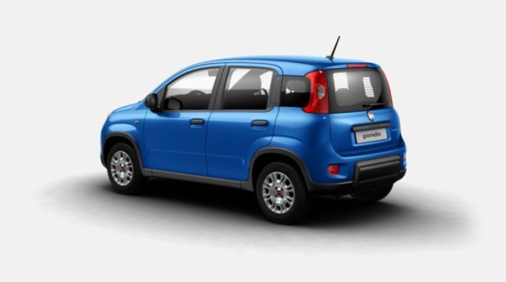 Fiat Panda nuova a Biella (2)