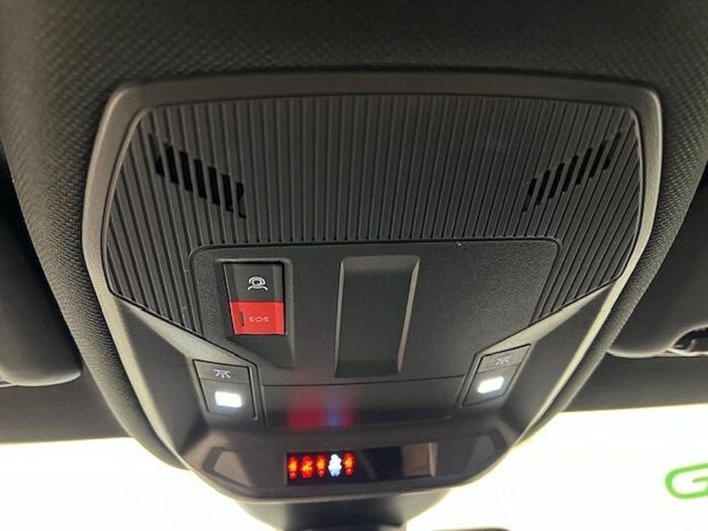 Peugeot 308 SW usata a Alessandria (14)