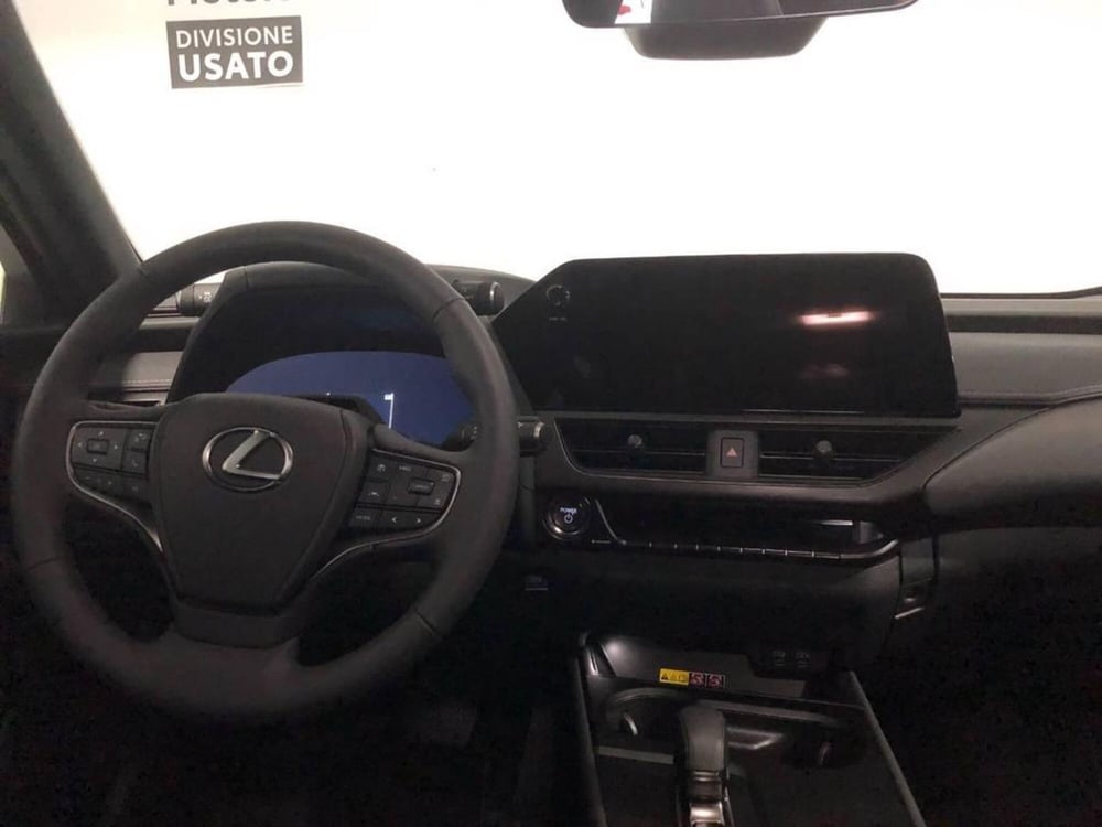 Lexus UX usata a Torino (11)