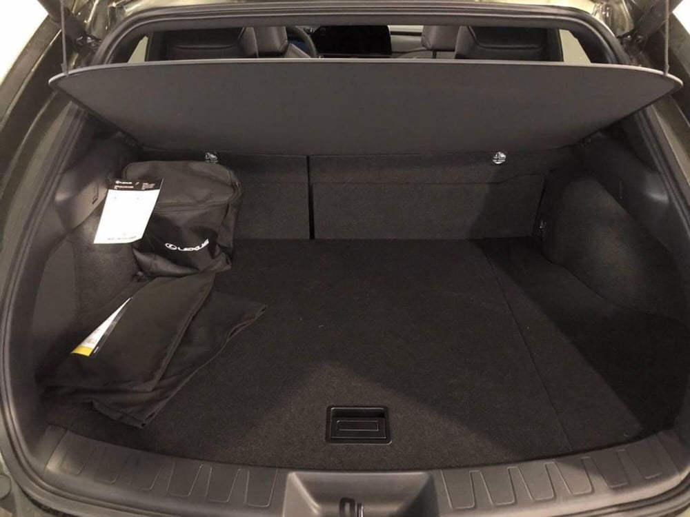 Lexus UX usata a Torino (15)