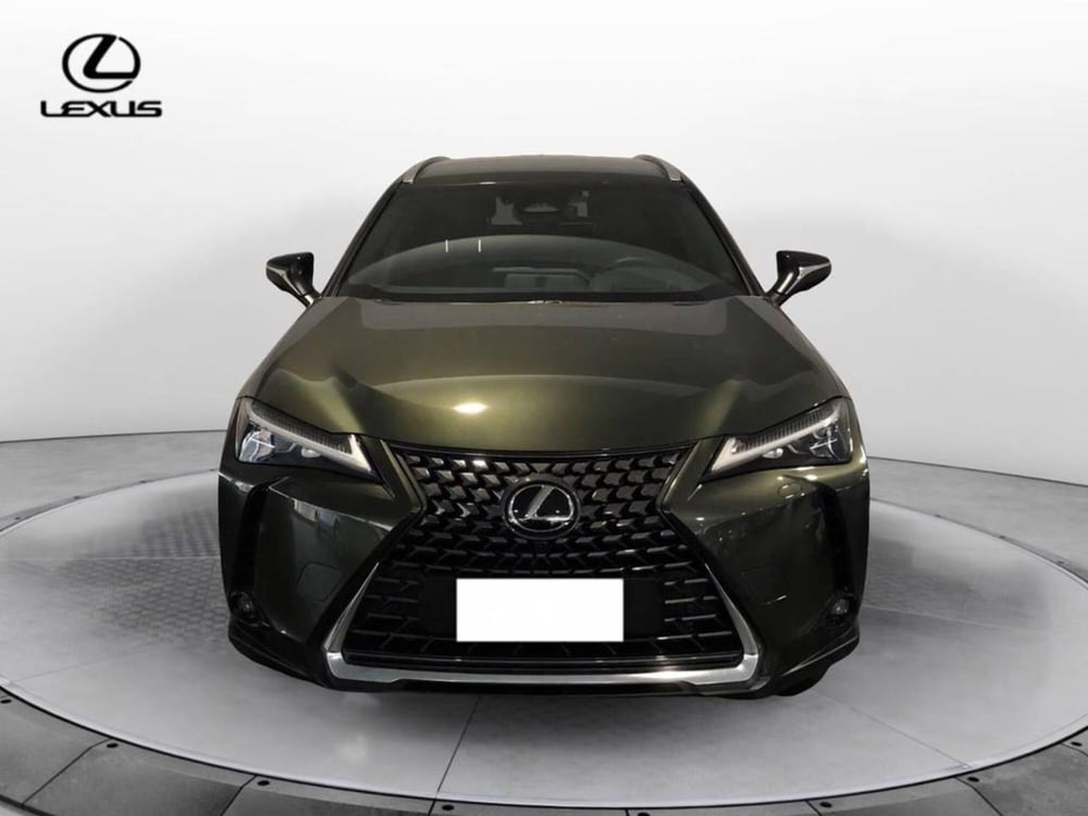 Lexus UX usata a Torino (2)