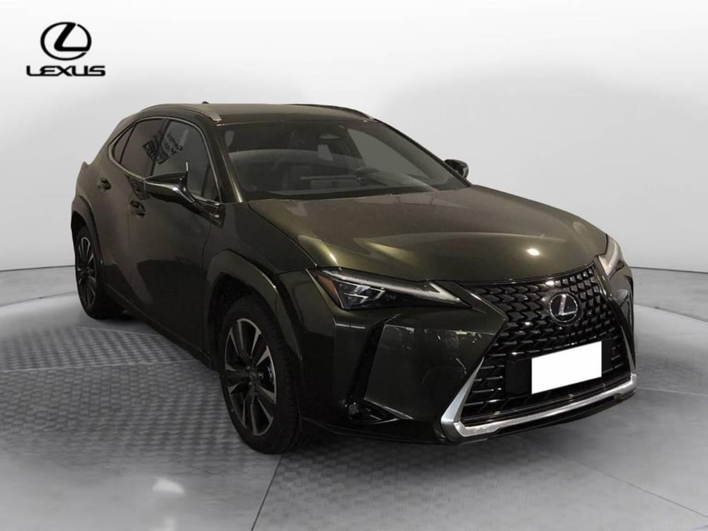 Lexus UX usata a Torino (3)