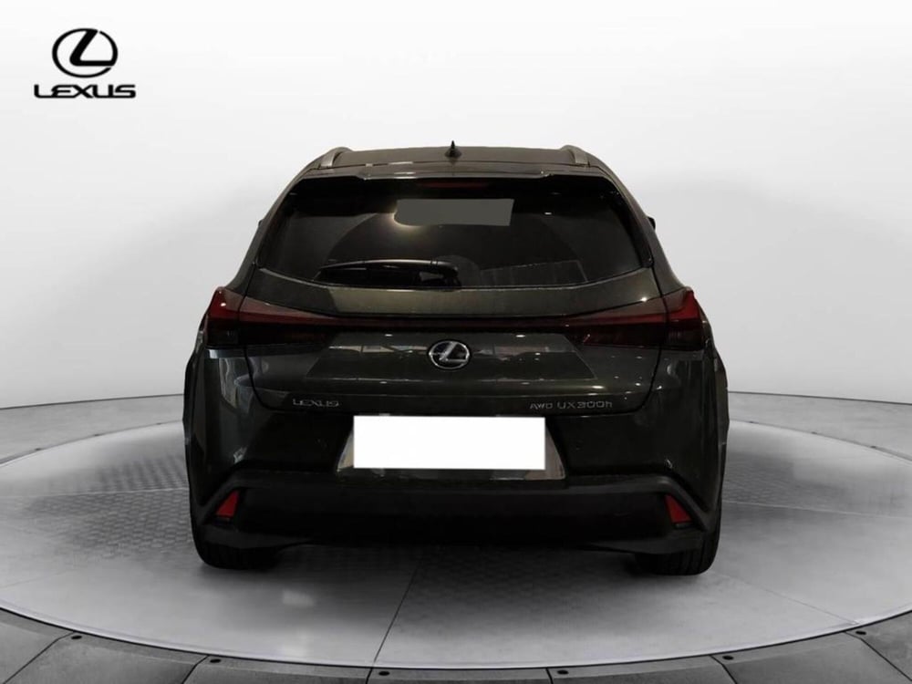 Lexus UX usata a Torino (5)
