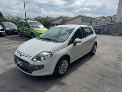 Fiat Punto Evo 1.3 Mjt 90 CV 5 porte Dualogic Dynamic del 2010 usata a Macerata