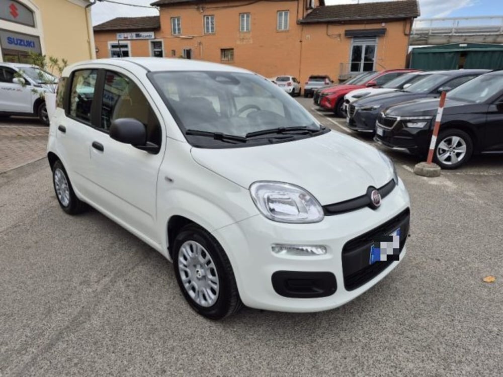 Fiat Panda usata a Bologna (2)
