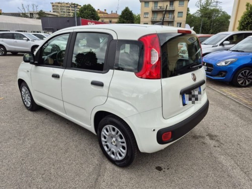 Fiat Panda usata a Bologna (4)