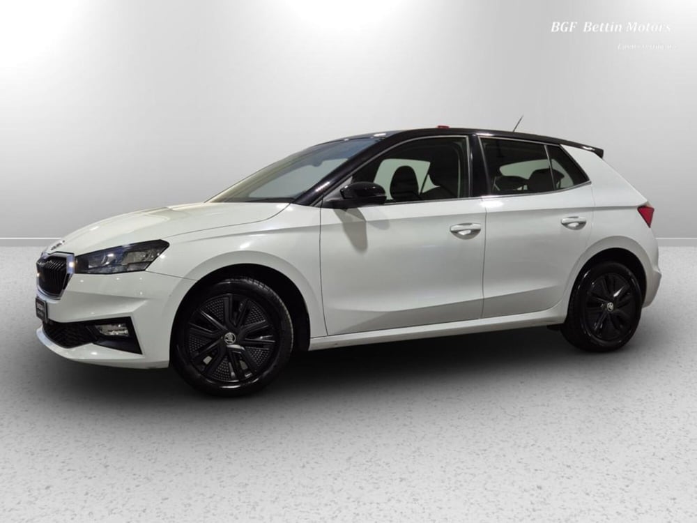 Skoda Fabia usata a Padova