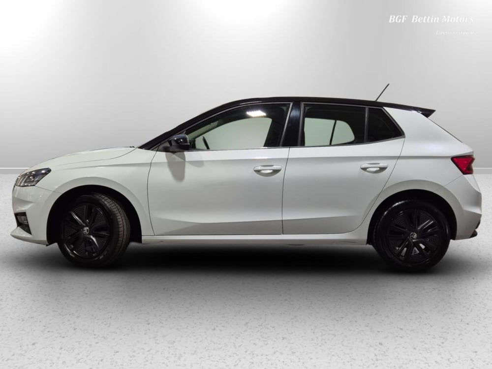 Skoda Fabia usata a Padova (2)