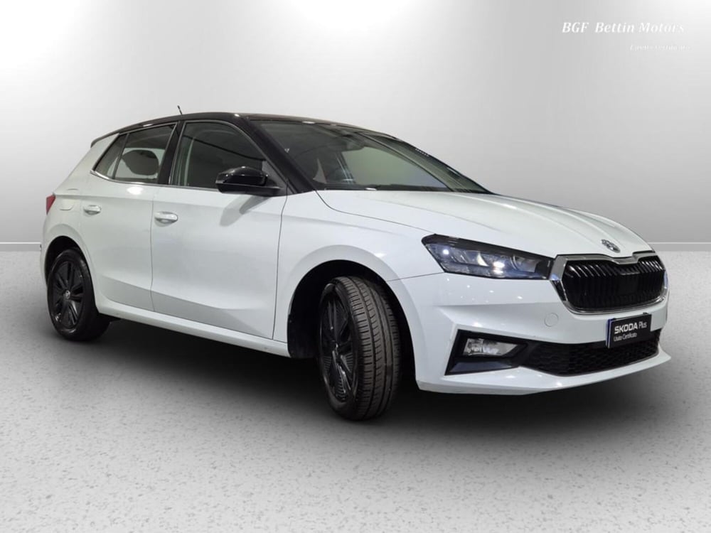 Skoda Fabia usata a Padova (4)