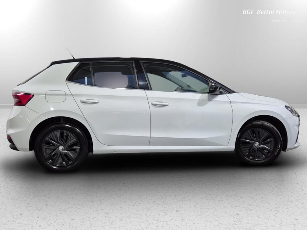 Skoda Fabia usata a Padova (5)