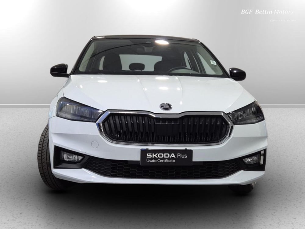 Skoda Fabia usata a Padova (7)