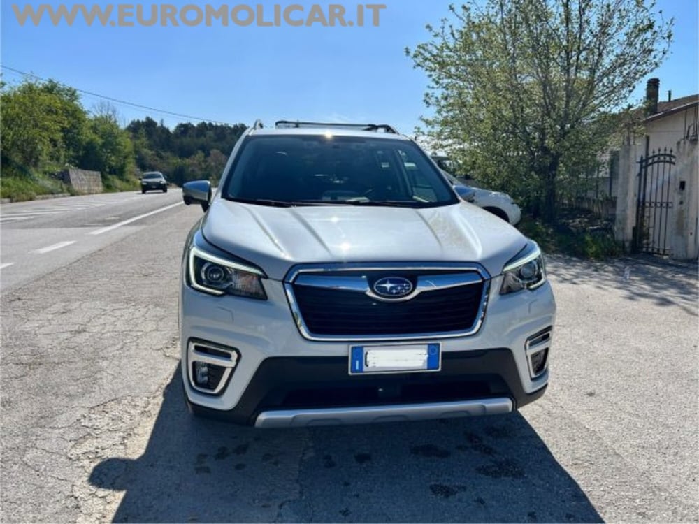 Subaru Forester usata a Campobasso (11)