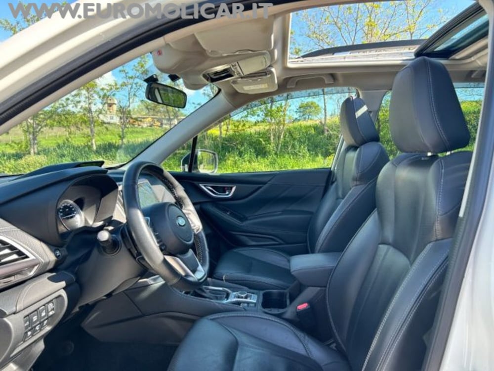 Subaru Forester usata a Campobasso (12)