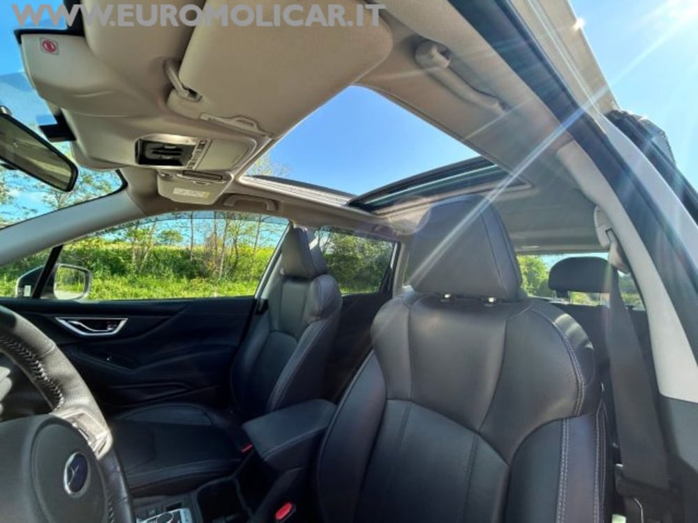 Subaru Forester usata a Campobasso (17)