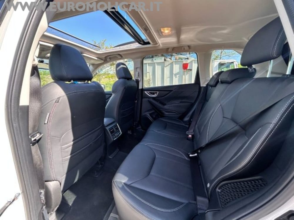 Subaru Forester usata a Campobasso (18)