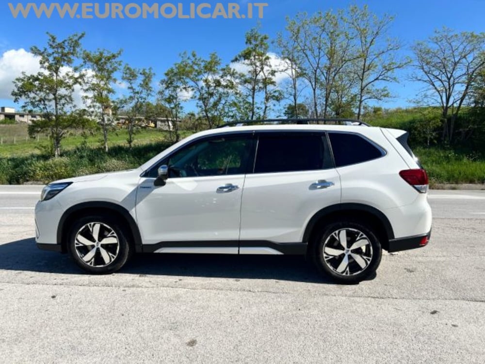 Subaru Forester usata a Campobasso (2)