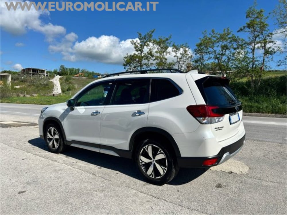 Subaru Forester usata a Campobasso (3)