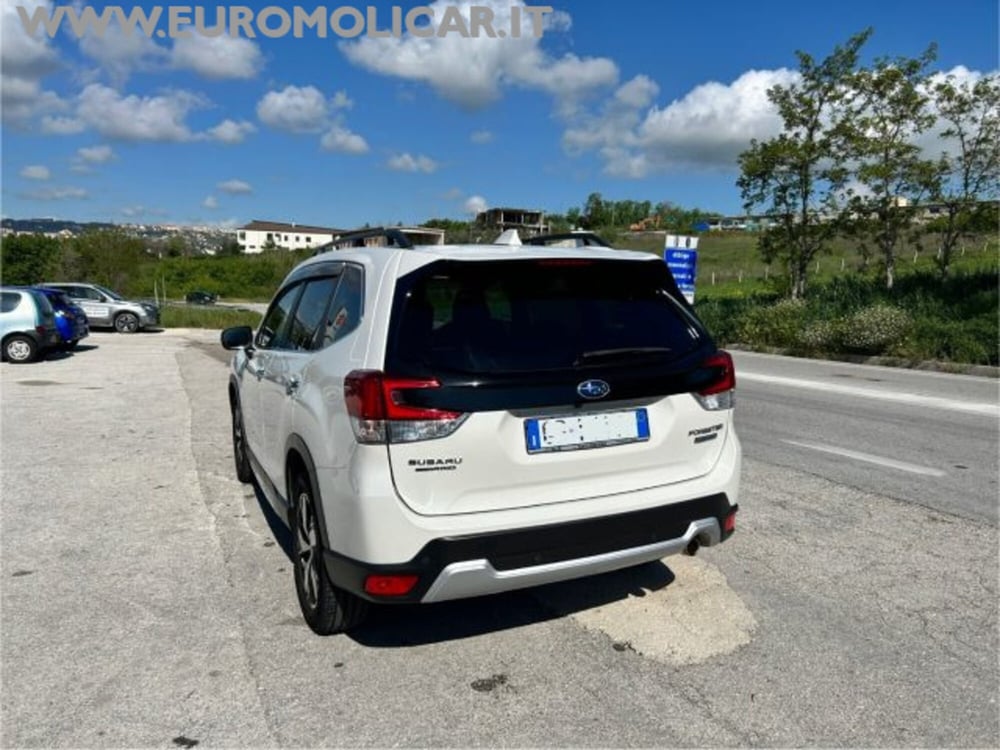 Subaru Forester usata a Campobasso (4)
