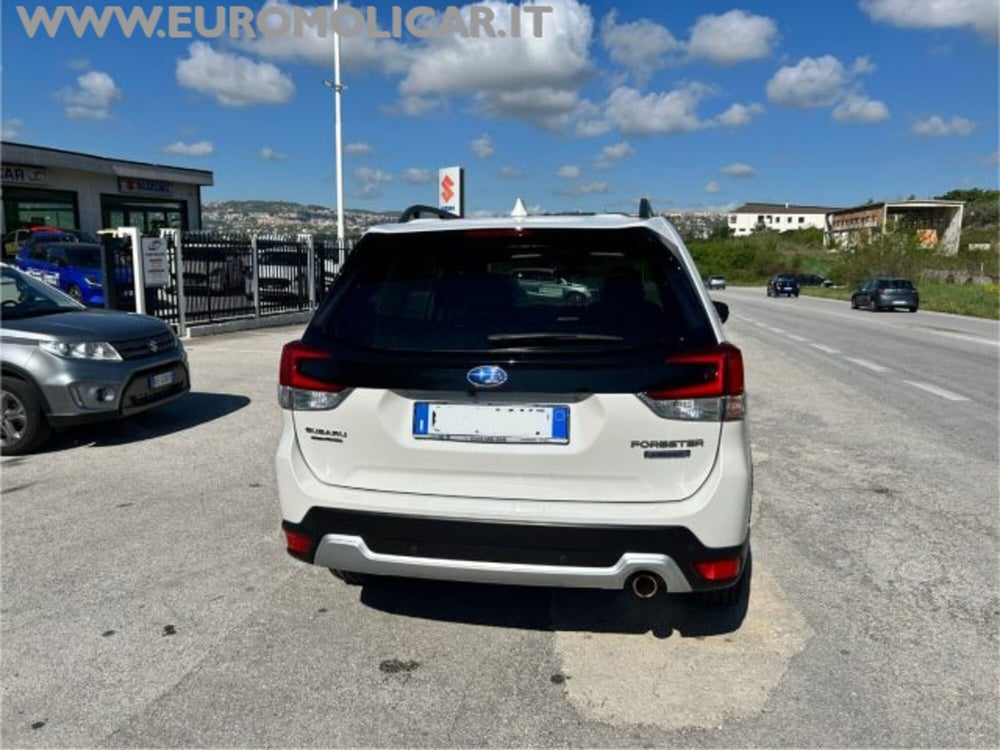 Subaru Forester usata a Campobasso (5)