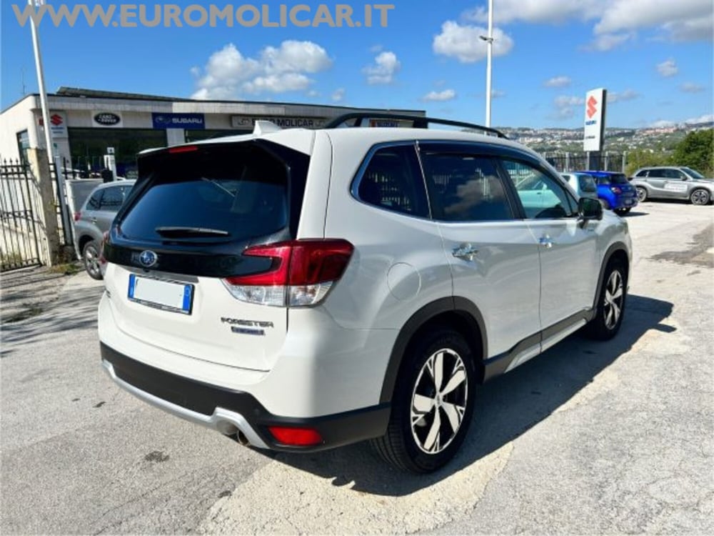 Subaru Forester usata a Campobasso (6)