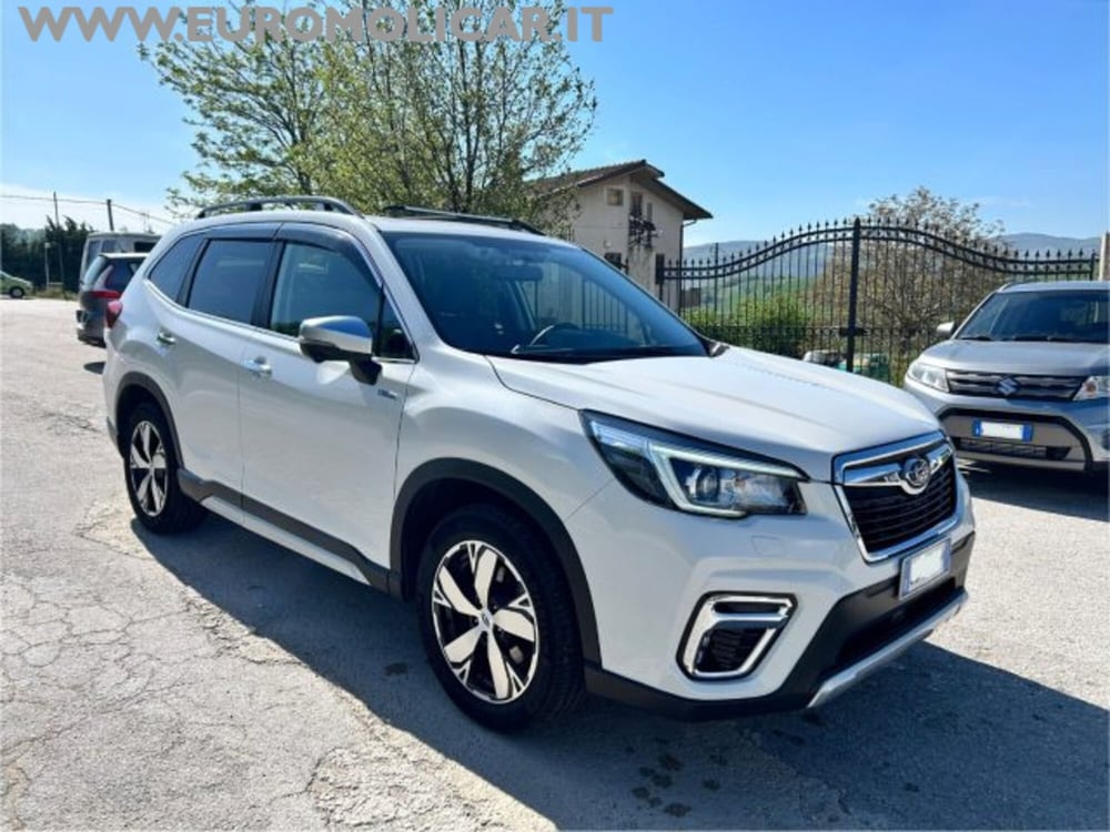Subaru Forester usata a Campobasso (7)