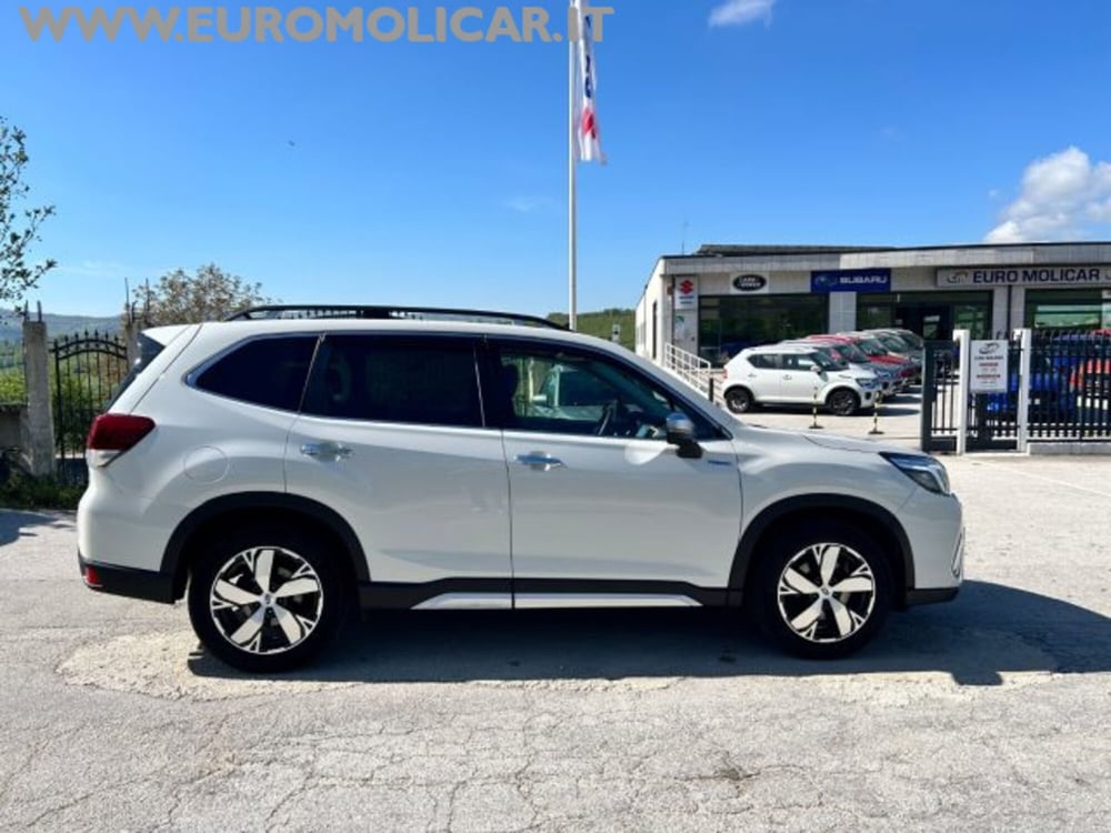 Subaru Forester usata a Campobasso (8)