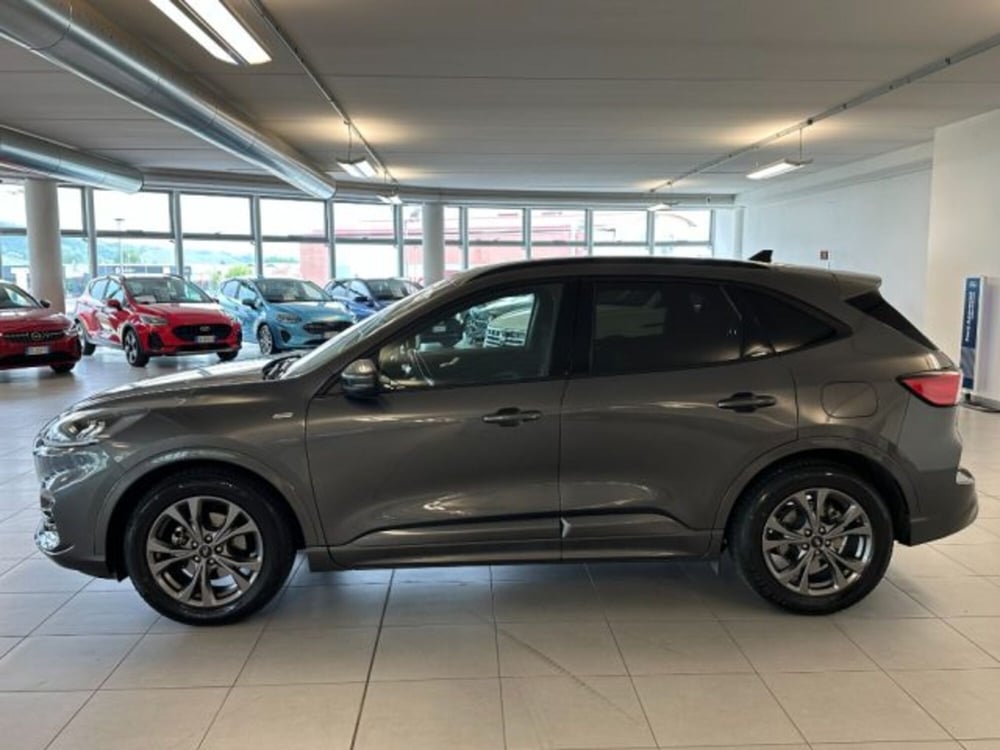 Ford Kuga usata a Cuneo (4)