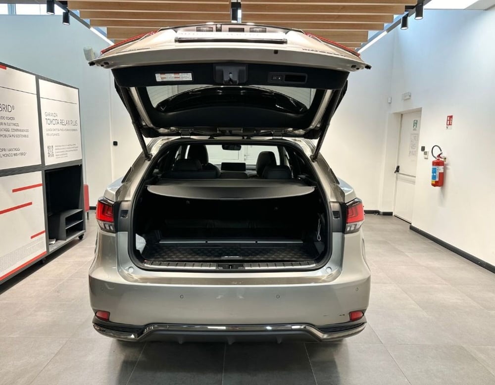Lexus RX usata a Ferrara (10)