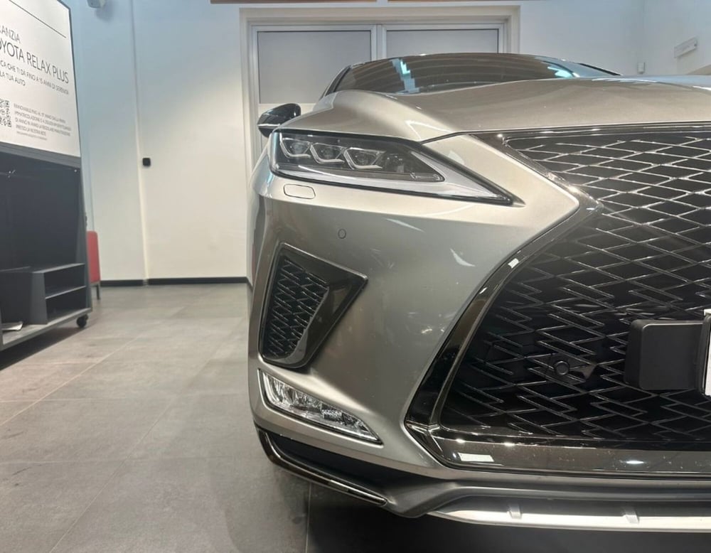 Lexus RX usata a Ferrara (16)