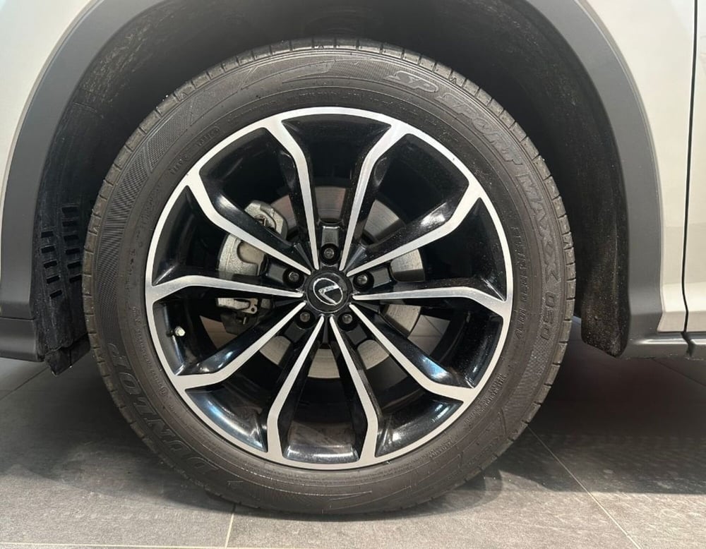 Lexus RX usata a Ferrara (17)