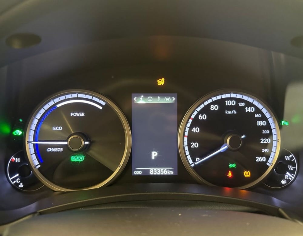 Lexus NX usata a Ferrara (15)